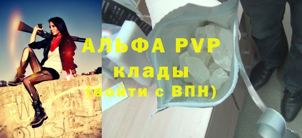 индика Аркадак