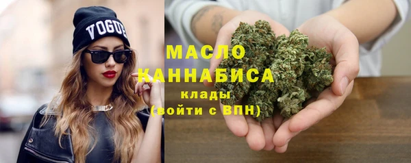 индика Аркадак