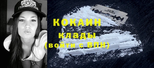 индика Аркадак