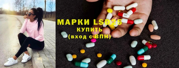 индика Аркадак