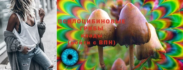 Альфа ПВП Арсеньев